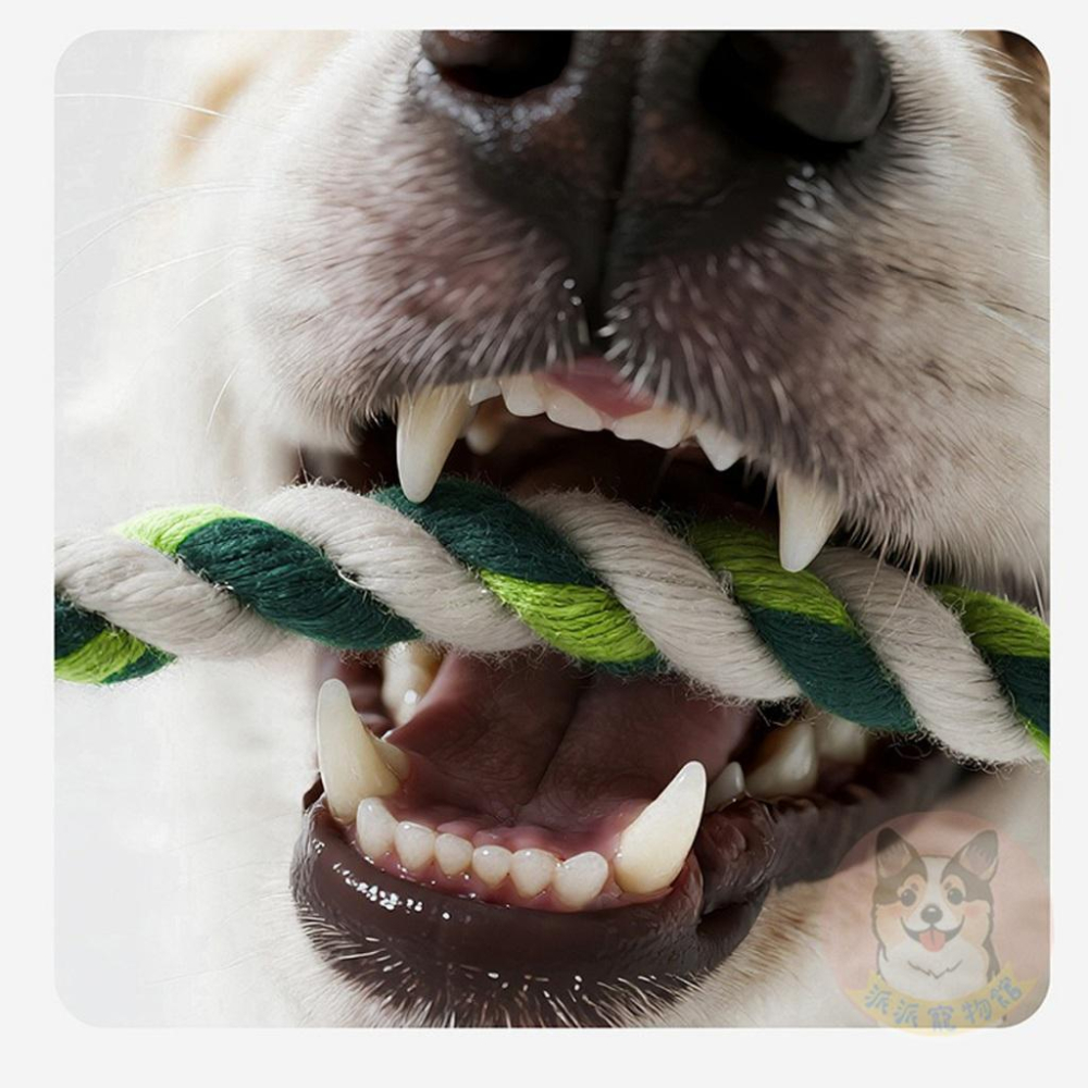 🦒毛絨動物園🐊 棉繩玩具 寵物玩具 寵物娃娃 狗狗玩具 啾啾玩具 小狗玩具 幼犬玩具 發聲玩具 毛孩毛絨狗狗磨牙陪睡玩具-細節圖6