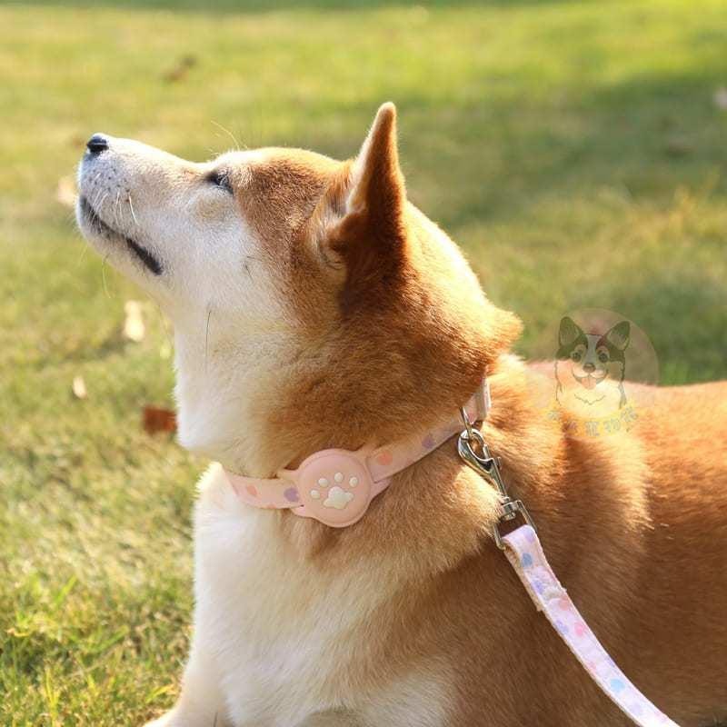 AirTag保護套項圈💘 貓項圈 狗項圈 寵物項圈 貓咪項圈 狗狗項圈 蘋果追蹤器套橘貓小狗小貓小型犬貓幼貓幼犬頸圈用品-細節圖6