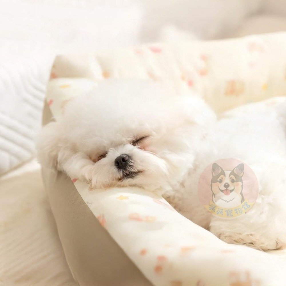 🐻荷葉花邊熊窩🐻 寵物窩 寵物床 狗窩 貓窩 寵物睡窩 狗床 貓床 寵物睡墊 貓咪窩 狗狗床 狗睡窩 窩 狗狗床睡窩沙發-細節圖3