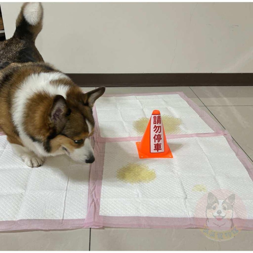 獨家訂製!! ⚠️請勿停車三角錐⚠️  尿尿立柱 尿柱 狗狗用品 寵物用品 狗狗廁所尿尿幼犬定點訓練小三角錐派派寵物館-細節圖4