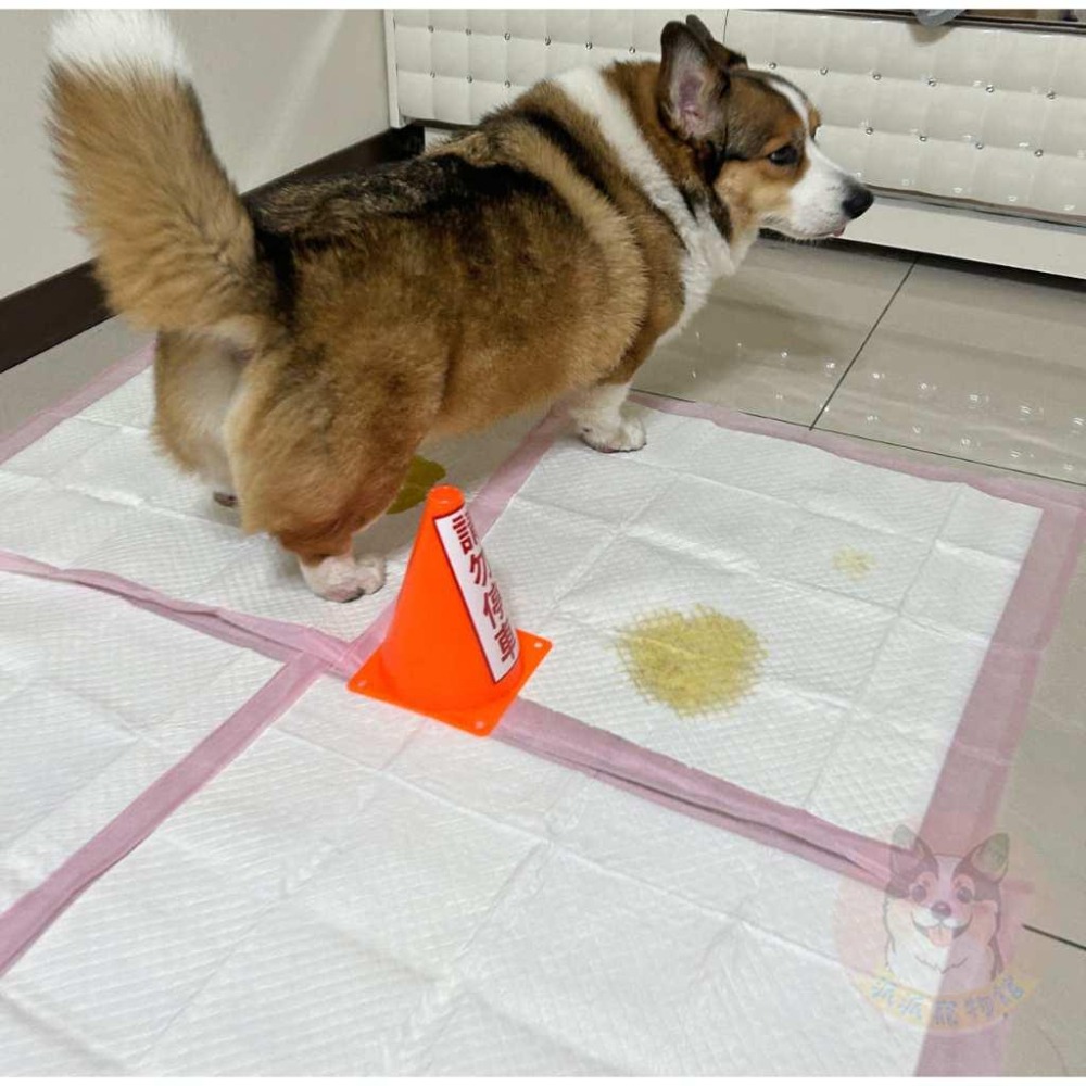 獨家訂製!! ⚠️請勿停車三角錐⚠️  尿尿立柱 尿柱 狗狗用品 寵物用品 狗狗廁所尿尿幼犬定點訓練小三角錐派派寵物館-細節圖5