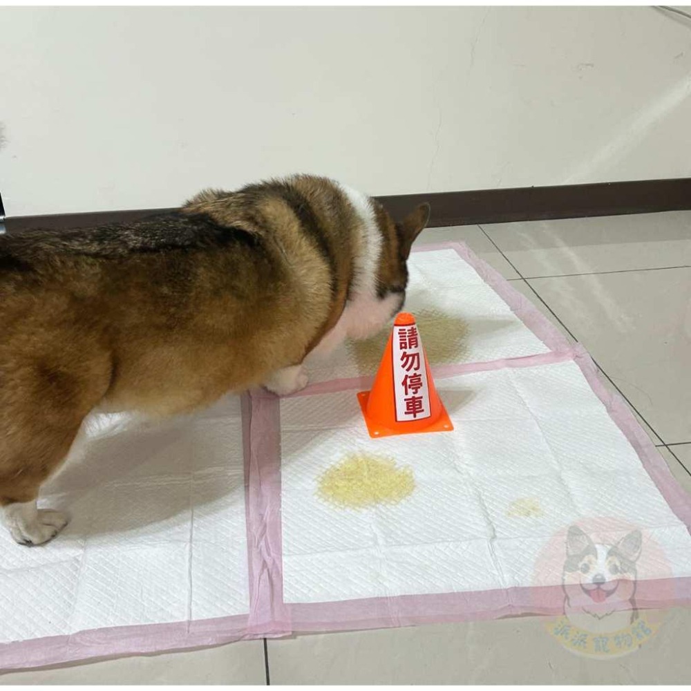 獨家訂製!! ⚠️請勿停車三角錐⚠️  尿尿立柱 尿柱 狗狗用品 寵物用品 狗狗廁所尿尿幼犬定點訓練小三角錐派派寵物館-細節圖6