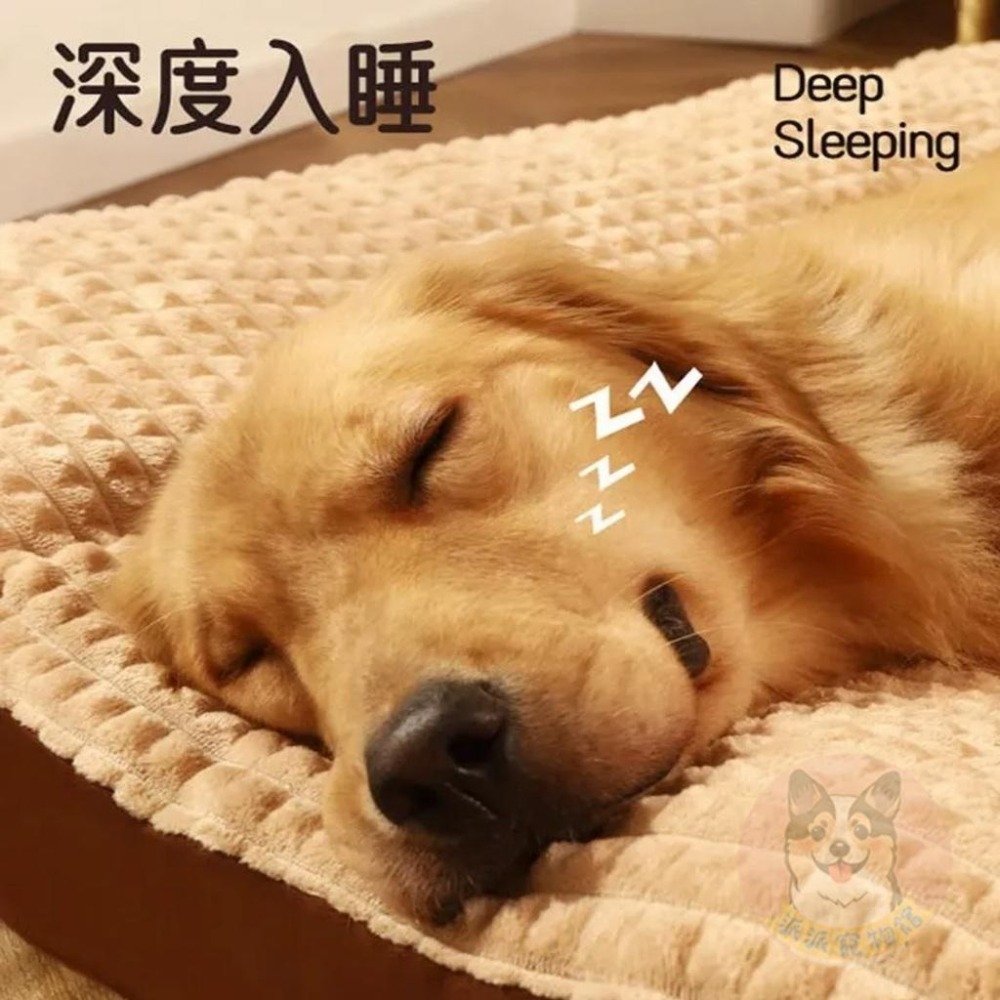 LE LE PET墊子😴 寵物睡墊 寵物床 狗窩 寵物窩 寵物睡墊 狗狗床 狗狗床墊 寵物睡床 寵物睡窩加厚寵物床貓睡墊-細節圖2