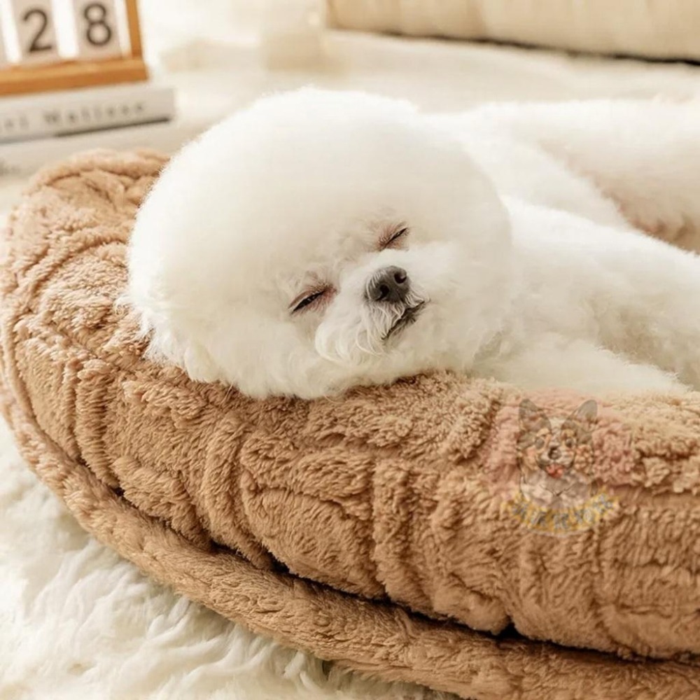 🩶棕色小熊絨窩🩶 貓窩 狗窩 寵物窩 窩 寵物床 狗床 寵物睡墊 寵物墊子 寵物墊 狗狗床 貓床 寵物睡窩 貓咪窩 貓咪-細節圖4