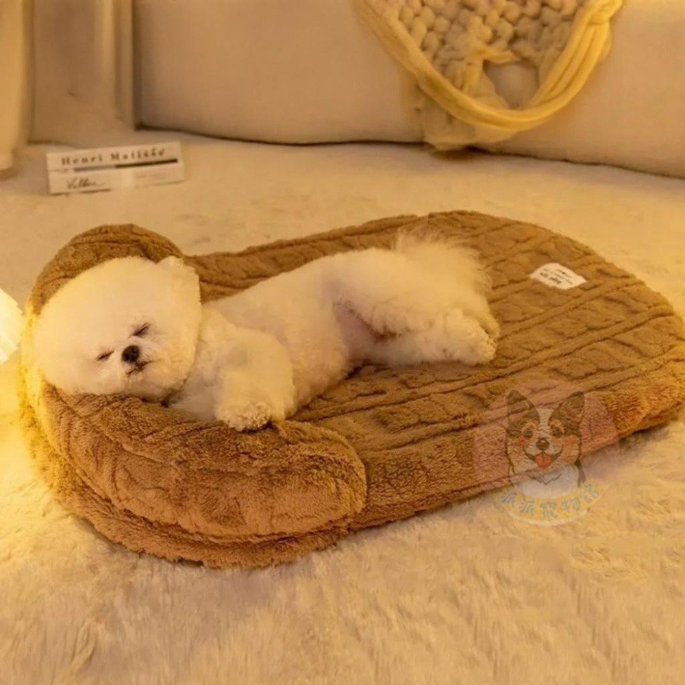 🩶棕色小熊絨窩🩶 貓窩 狗窩 寵物窩 窩 寵物床 狗床 寵物睡墊 寵物墊子 寵物墊 狗狗床 貓床 寵物睡窩 貓咪窩 貓咪-細節圖5