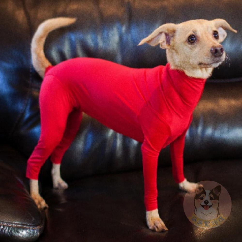 彈力緊身衣:)) 狗狗衣服 狗衣服 寵物衣服 大狗衣服 小狗衣服 中大型犬柴犬博美保暖冬天貼身防掉毛緊身衣內搭秋衣搞笑-細節圖6