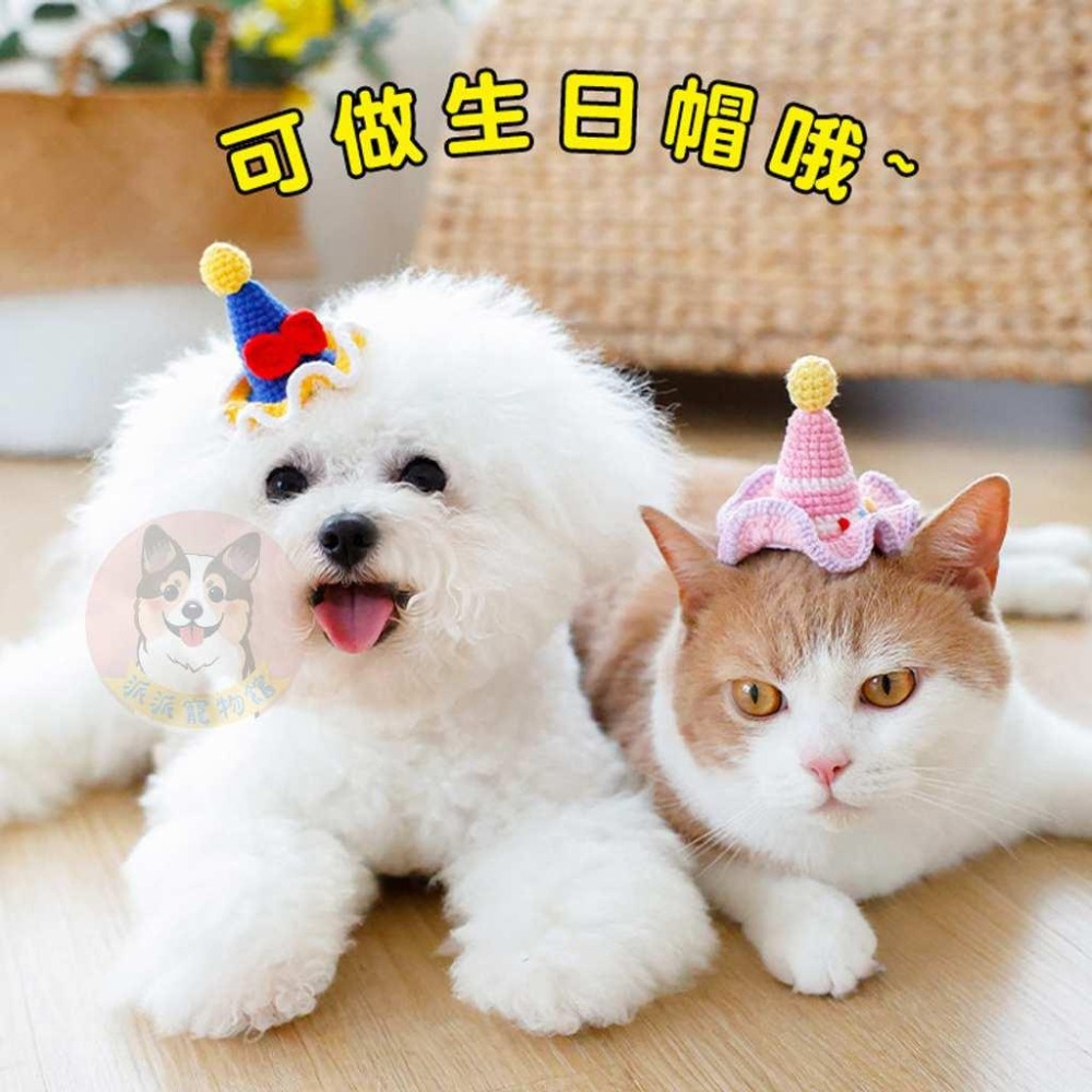 🌼寵物髮夾🌼 寵物帽子 寵物帽 寵物夾子 寵物髮夾 狗狗髮夾 貓咪髮夾 髮夾 狗狗帽 貓咪帽 狗帽 貓帽 寵物頭飾配件-細節圖4