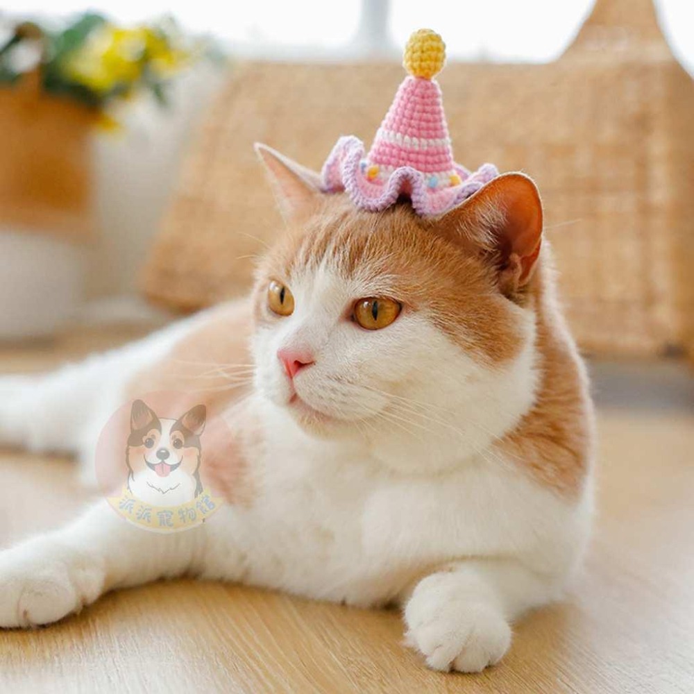 🌼寵物髮夾🌼 寵物帽子 寵物帽 寵物夾子 寵物髮夾 狗狗髮夾 貓咪髮夾 髮夾 狗狗帽 貓咪帽 狗帽 貓帽 寵物頭飾配件-細節圖5