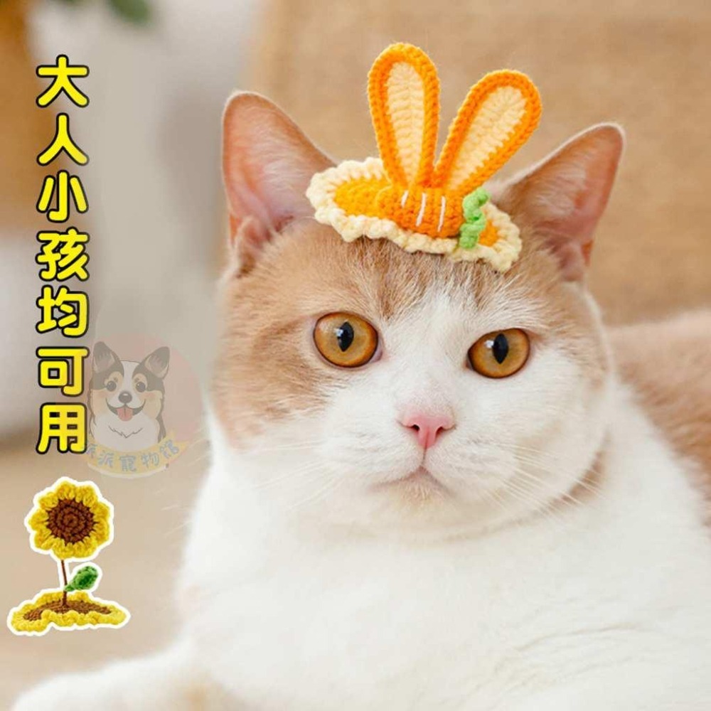 🌼寵物髮夾🌼 寵物帽子 寵物帽 寵物夾子 寵物髮夾 狗狗髮夾 貓咪髮夾 髮夾 狗狗帽 貓咪帽 狗帽 貓帽 寵物頭飾配件-細節圖9