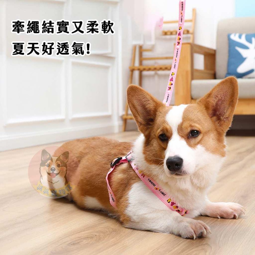 🍋編織胸背帶套組🍋 胸背帶 寵物胸背帶 狗狗胸背帶 貓咪胸背帶 狗胸背帶貓胸背帶幼犬胸背帶小型犬胸背帶胸背狗胸背寵物-細節圖2