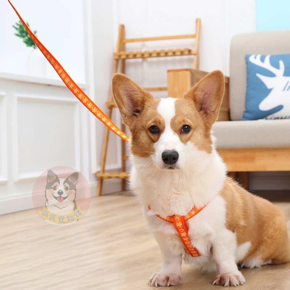 🍋編織胸背帶套組🍋 胸背帶 寵物胸背帶 狗狗胸背帶 貓咪胸背帶 狗胸背帶貓胸背帶幼犬胸背帶小型犬胸背帶胸背狗胸背寵物-細節圖3