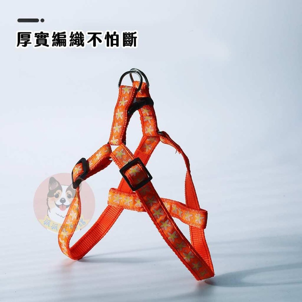 🍋編織胸背帶套組🍋 胸背帶 寵物胸背帶 狗狗胸背帶 貓咪胸背帶 狗胸背帶貓胸背帶幼犬胸背帶小型犬胸背帶胸背狗胸背寵物-細節圖5