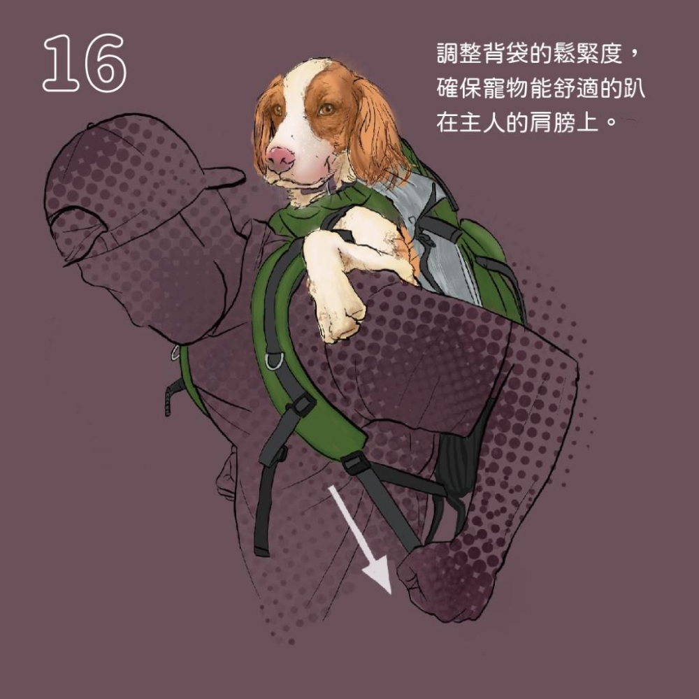 K9 SPORT SACK 寵物背包入門款 寵物背包 寵物外出包 寵物包包狗狗背包狗狗外出包寵物後背包寵物外出小狗小型-細節圖6