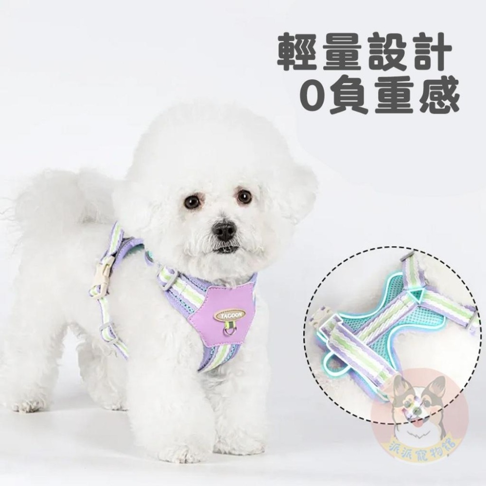 ☁️透氣雲感胸背帶☁️ 胸背帶 狗胸背帶 寵物背帶 狗狗胸背帶 胸背 牽繩 牽引繩小型犬胸背帶狗牽繩狗狗牽繩狗繩狗狗-細節圖3