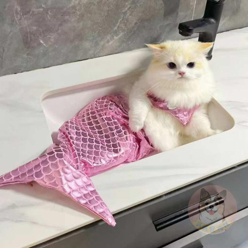 美人魚🧜‍♀️ 變身裝 萬聖節 寵物變裝 寵物衣服 貓咪衣服 貓衣服 狗狗衣服 狗衣服 寵物搞笑變裝 寵物變身裝幼貓幼犬-細節圖3