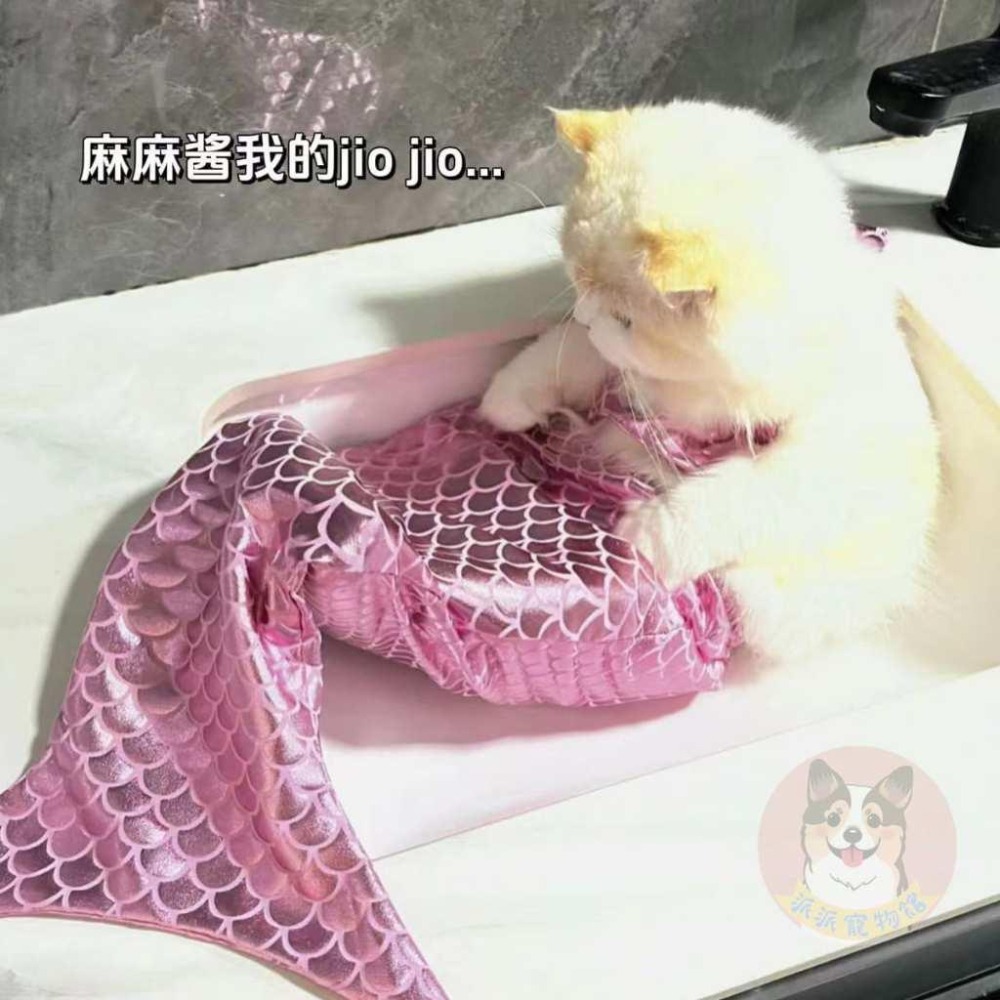 美人魚🧜‍♀️ 變身裝 萬聖節 寵物變裝 寵物衣服 貓咪衣服 貓衣服 狗狗衣服 狗衣服 寵物搞笑變裝 寵物變身裝幼貓幼犬-細節圖5