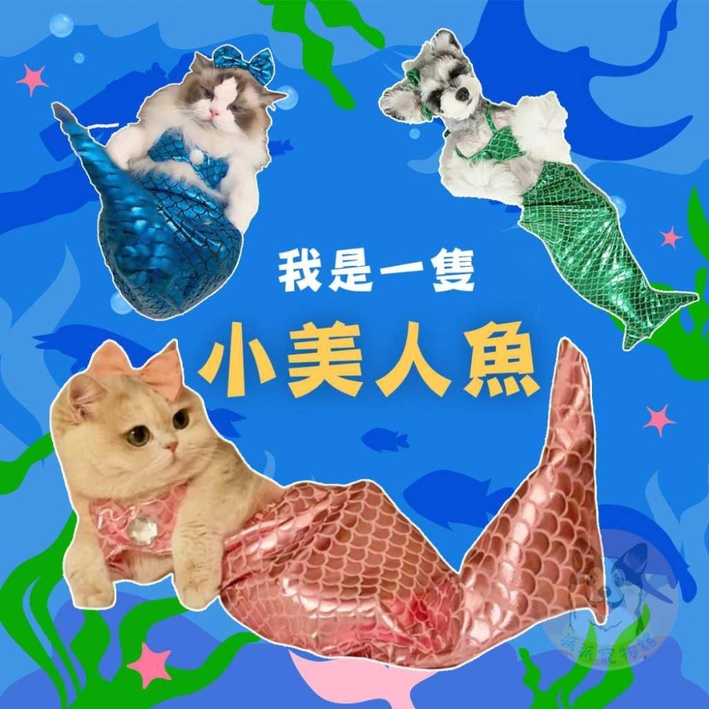 美人魚🧜‍♀️ 變身裝 萬聖節 寵物變裝 寵物衣服 貓咪衣服 貓衣服 狗狗衣服 狗衣服 寵物搞笑變裝 寵物變身裝幼貓幼犬-細節圖6
