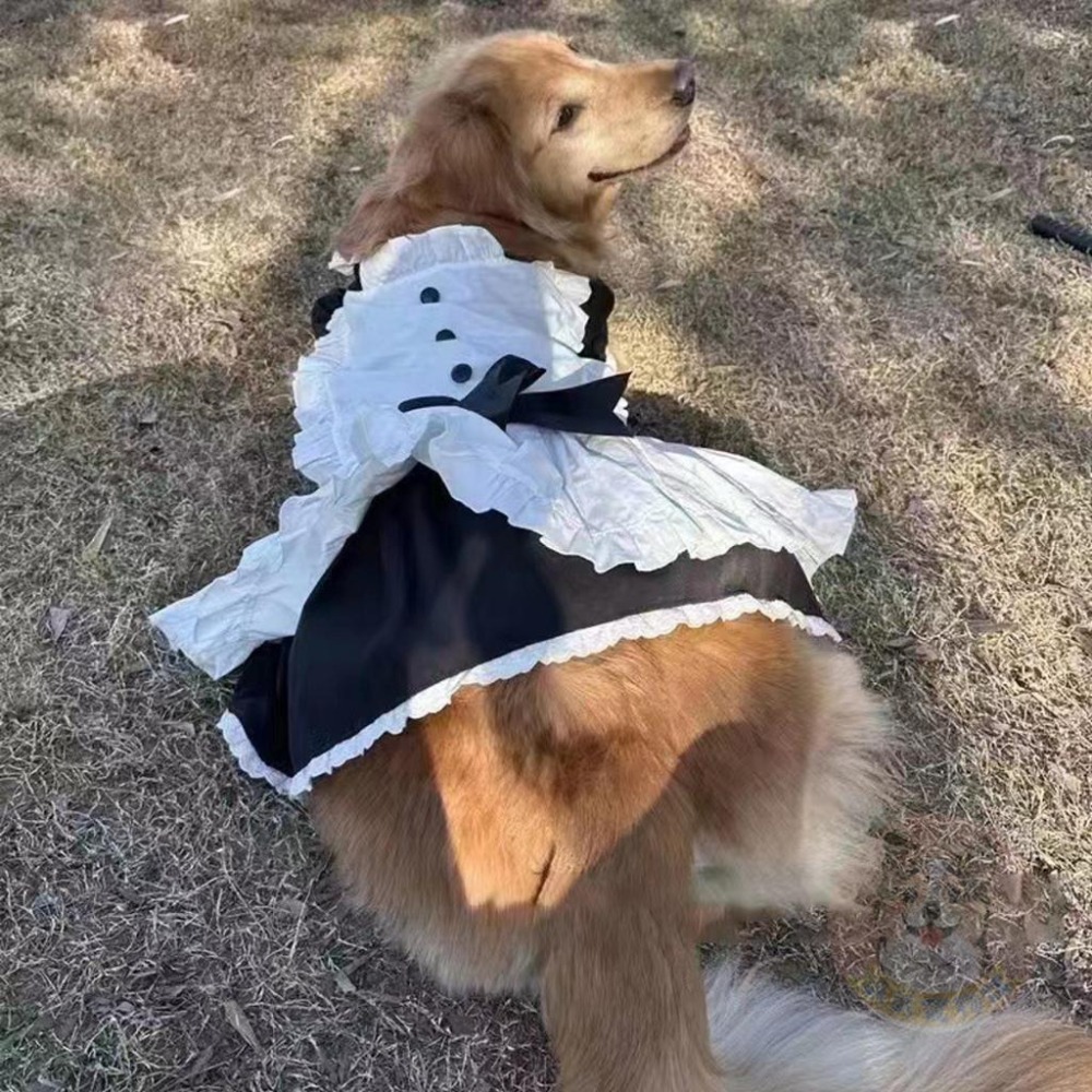 💜寵物女僕裝💜 寵物變裝 寵物衣服 狗狗衣服 狗衣服 貓咪衣服 貓衣服 寵物裙子 狗狗貓咪配件搞笑搞怪可愛女僕裝變裝制服-細節圖4
