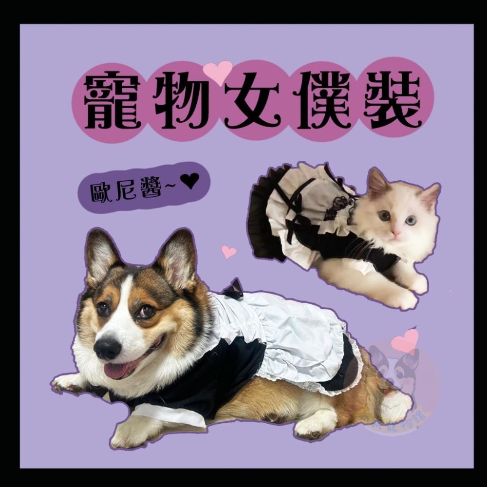 💜寵物女僕裝💜 寵物變裝 寵物衣服 狗狗衣服 狗衣服 貓咪衣服 貓衣服 寵物裙子 狗狗貓咪配件搞笑搞怪可愛女僕裝變裝制服-細節圖5