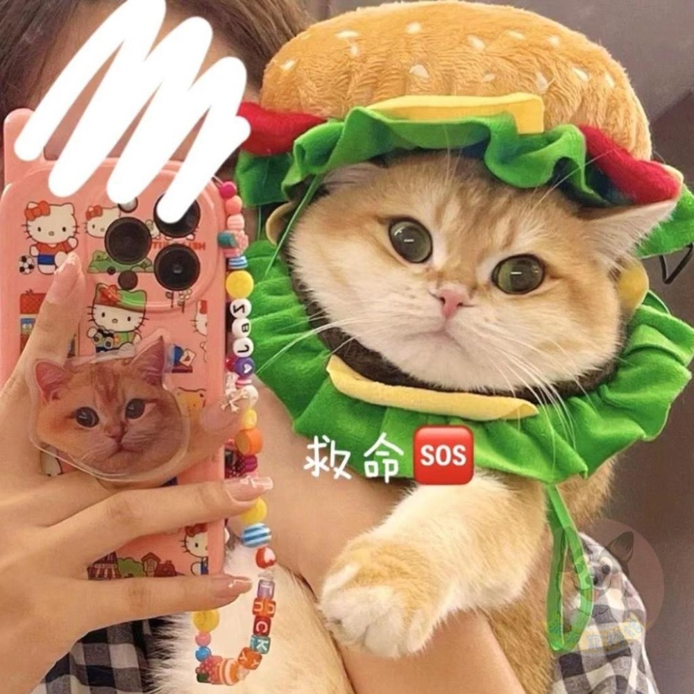 🍔漢堡頭套🍔 寵物頭套 貓咪頭套 狗狗頭套 狗頭套 貓頭套 寵物帽子 狗狗帽子 貓咪帽子 漢堡頭套 寵物配件變裝變身-細節圖2