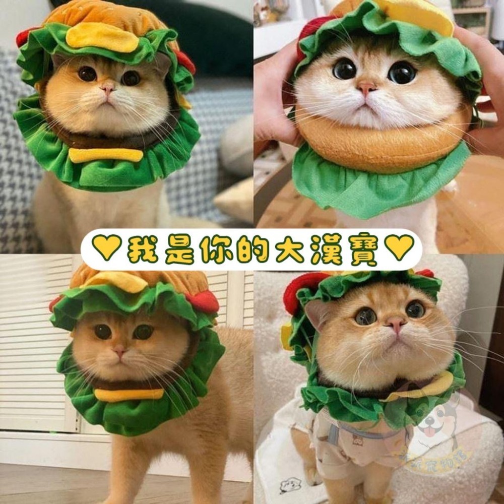 🍔漢堡頭套🍔 寵物頭套 貓咪頭套 狗狗頭套 狗頭套 貓頭套 寵物帽子 狗狗帽子 貓咪帽子 漢堡頭套 寵物配件變裝變身-細節圖8