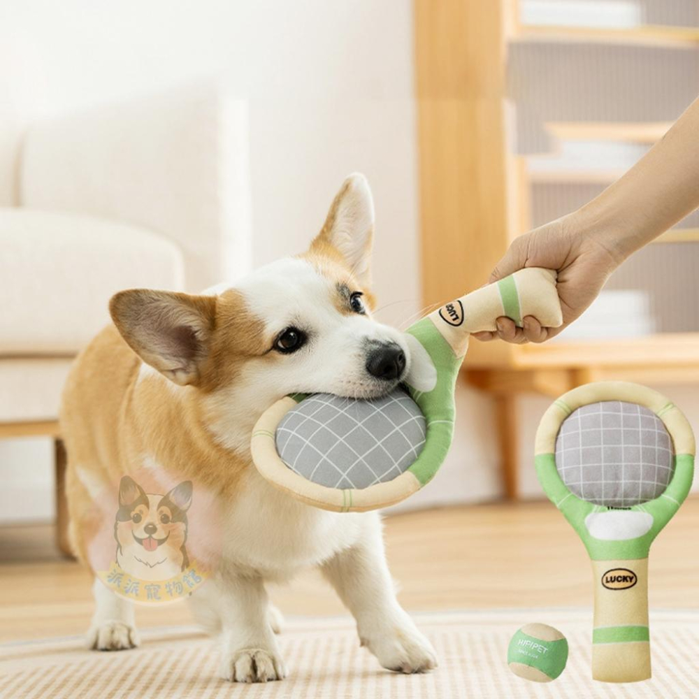 網球套裝玩具🎾 狗狗玩具 寵物玩具 狗玩具 小狗玩具 毛絨玩具 網球拍 狗狗玩具球 響紙 發聲 啾啾幼犬小狗幼犬柯基玩-細節圖4