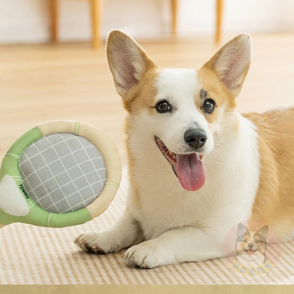 網球套裝玩具🎾 狗狗玩具 寵物玩具 狗玩具 小狗玩具 毛絨玩具 網球拍 狗狗玩具球 響紙 發聲 啾啾幼犬小狗幼犬柯基玩-細節圖5
