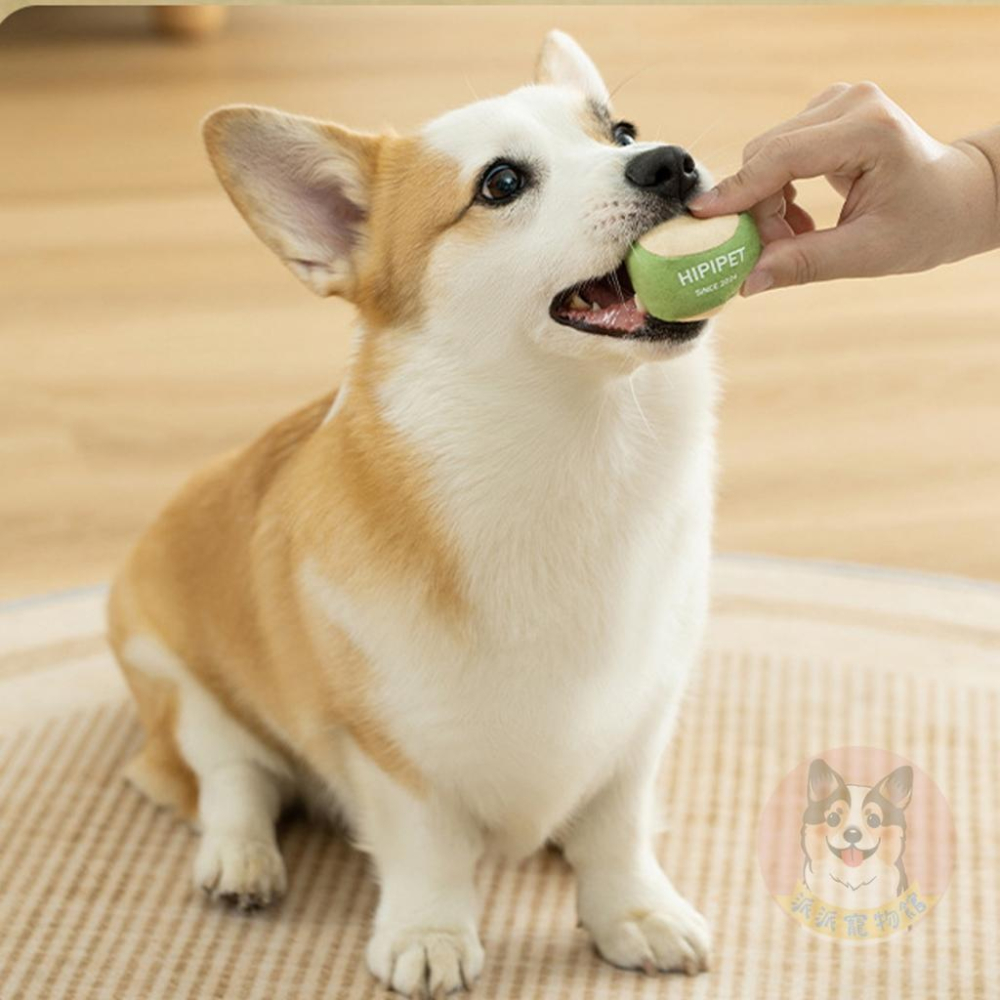 網球套裝玩具🎾 狗狗玩具 寵物玩具 狗玩具 小狗玩具 毛絨玩具 網球拍 狗狗玩具球 響紙 發聲 啾啾幼犬小狗幼犬柯基玩-細節圖6