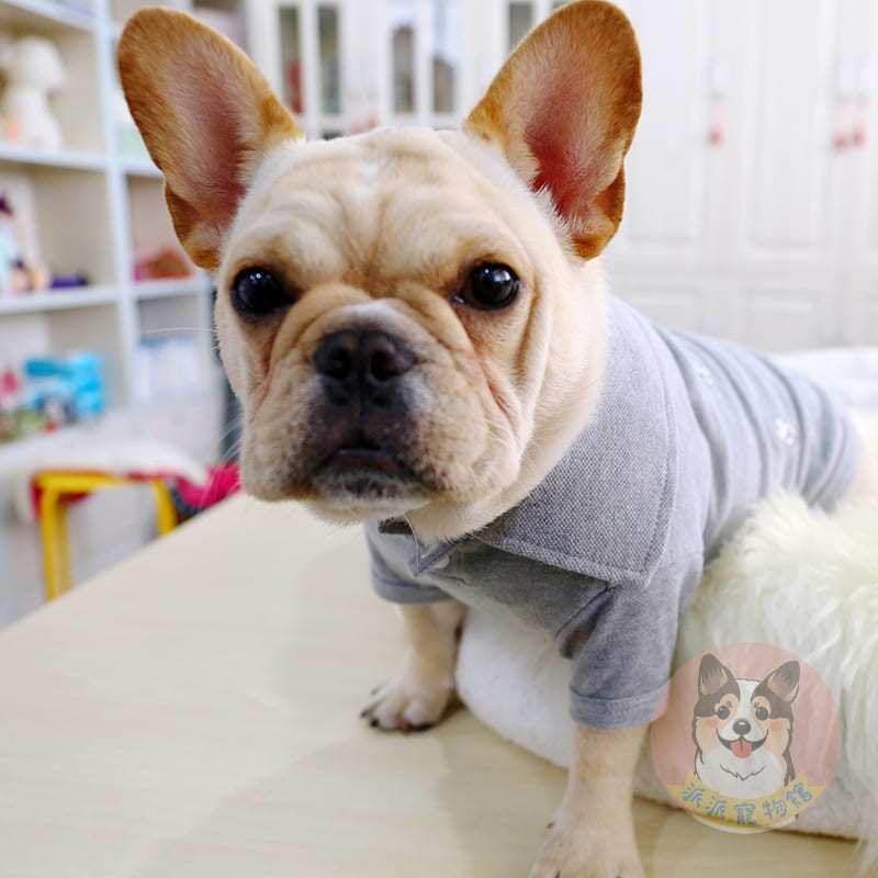❤️法鬥POLO衫❤️ 狗衣服 狗狗衣服 寵物衣服 寵物服飾 中小型犬 襯衫 法鬥衣服幼犬博美吉娃娃比熊貴賓狗小狗衣服-細節圖5
