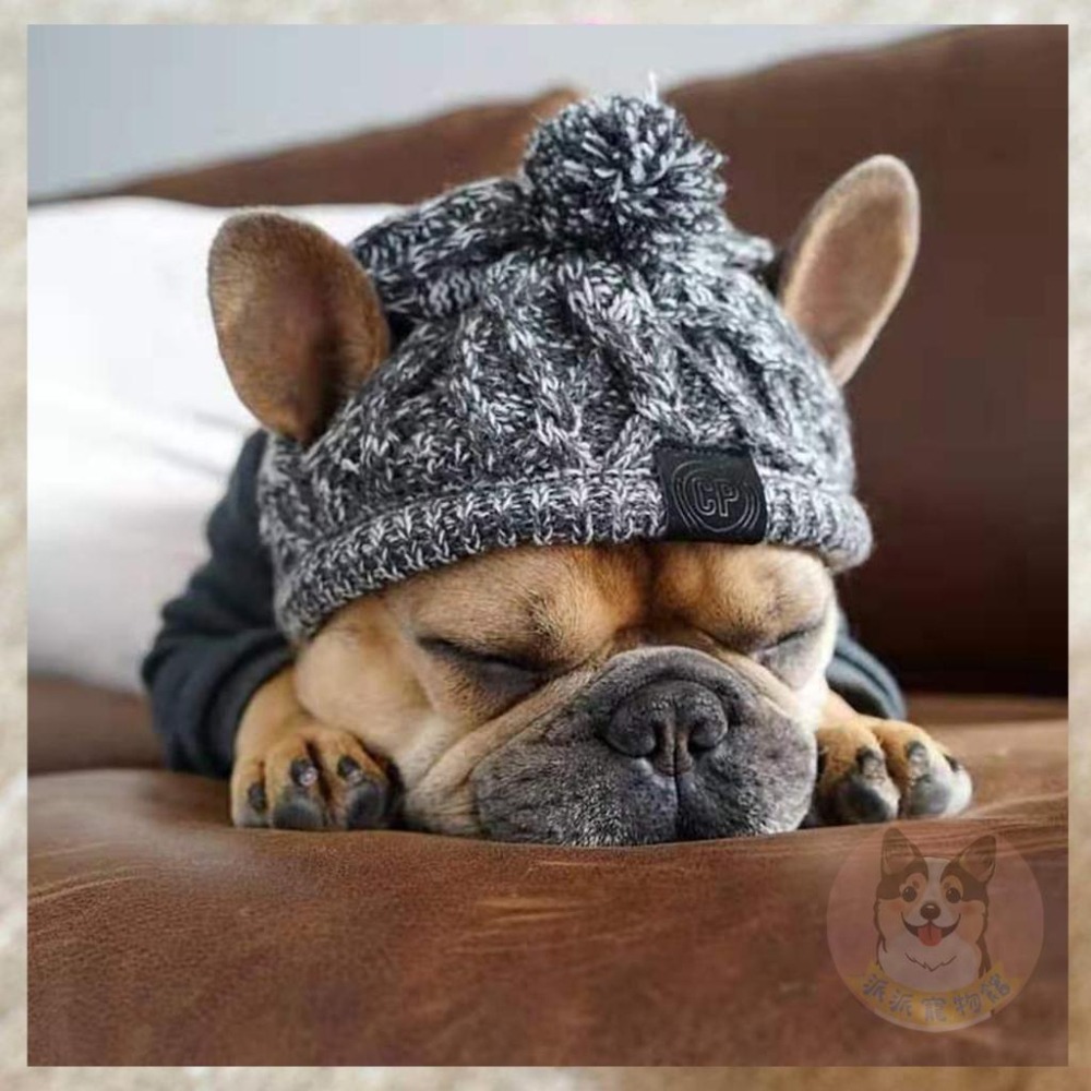 💜寵物毛球帽💜 寵物帽子 狗狗帽子 法鬥帽子 貓咪帽子 狗帽子 狗狗毛帽 狗帽 大狗帽子 小狗帽子 貓咪保暖冬天寵物配-細節圖2