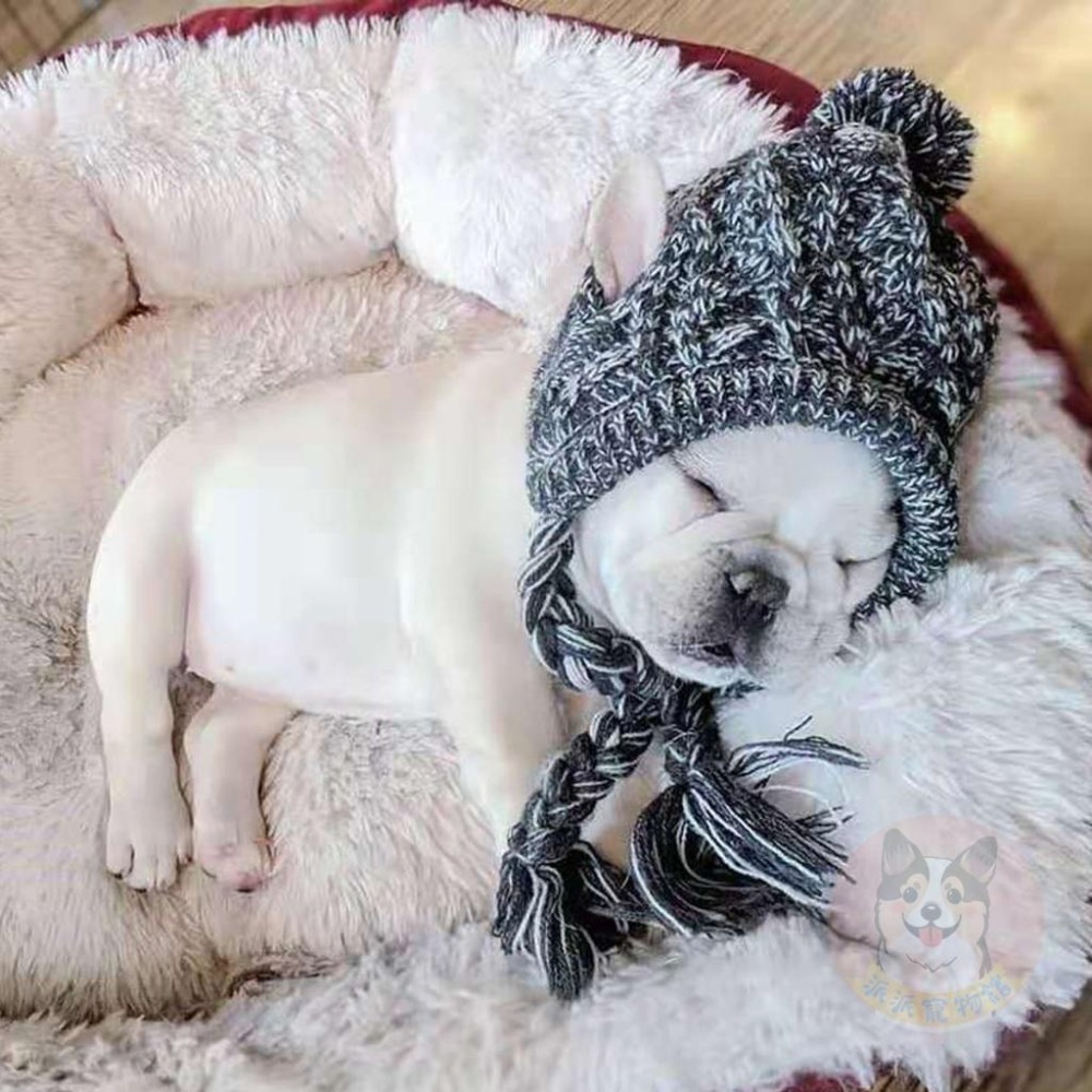 💜寵物毛球帽💜 寵物帽子 狗狗帽子 法鬥帽子 貓咪帽子 狗帽子 狗狗毛帽 狗帽 大狗帽子 小狗帽子 貓咪保暖冬天寵物配-細節圖6