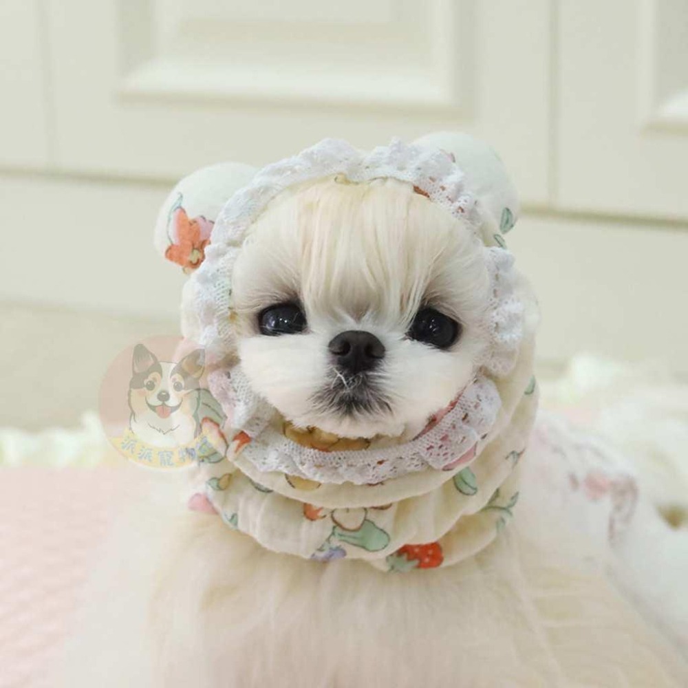 不濕毛💧 寵物防濕毛頭套 脖套 脖圈 髮圈 頭套 臘腸狗 西施 小狗 長毛狗 頭罩 狗狗用品 貓咪用品 寵物用品狗用品-細節圖3