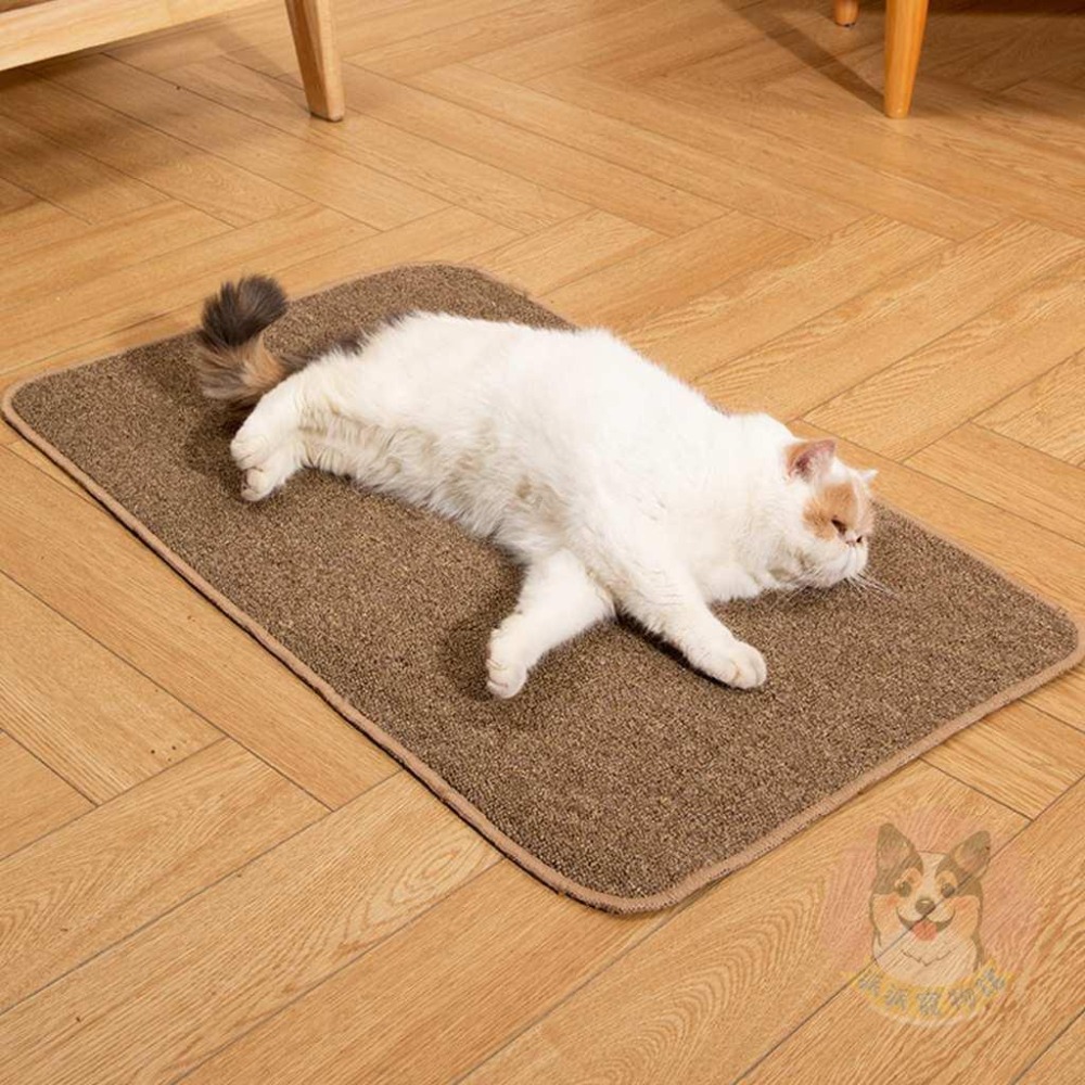 貓抓地墊🌟 貓抓墊 劍麻貓抓墊 劍麻墊 貓玩具 貓咪玩具 劍麻 防貓抓 貓墊 貓抓板 耐抓貓抓 抓板 貓爪板 麻繩貓抓板-細節圖3