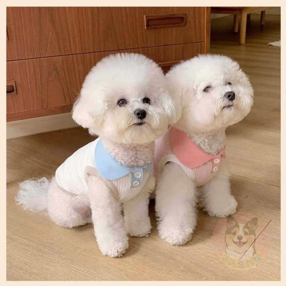 馬卡龍POLO衫🍎 狗衣服 狗狗背心 狗狗衣服 寵物衣服 貓咪衣服 小狗衣服 夏天幼犬幼貓博美吉娃娃貴賓狗比熊臘腸狗衣服-細節圖3