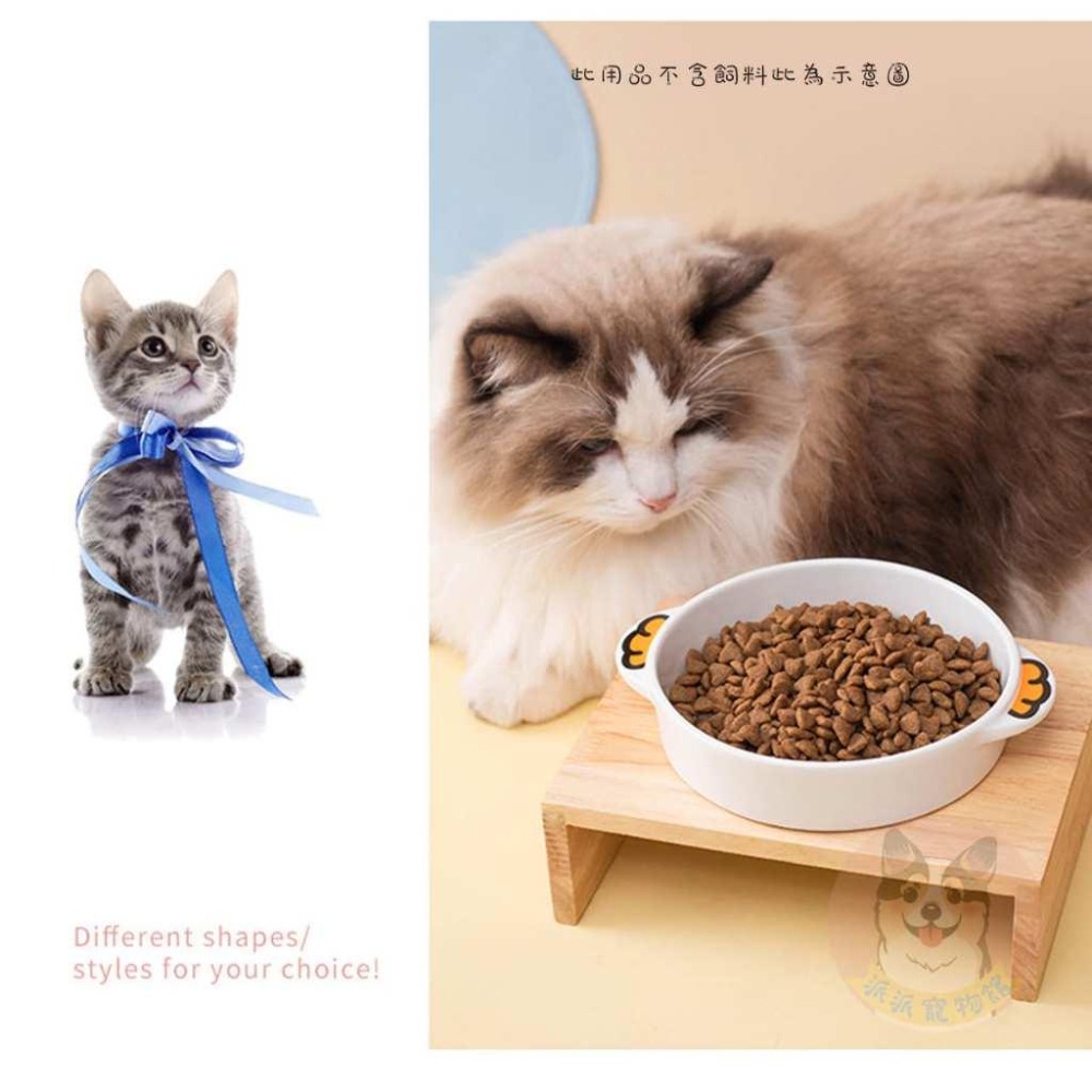 🐸雙耳動物碗🐸 貓碗 寵物碗 貓咪碗 寵物碗架 寵物陶瓷碗 貓碗架 貓咪飼料碗 貓咪碗架 貓用品 護頸碗 寵物碗架 貓-細節圖4