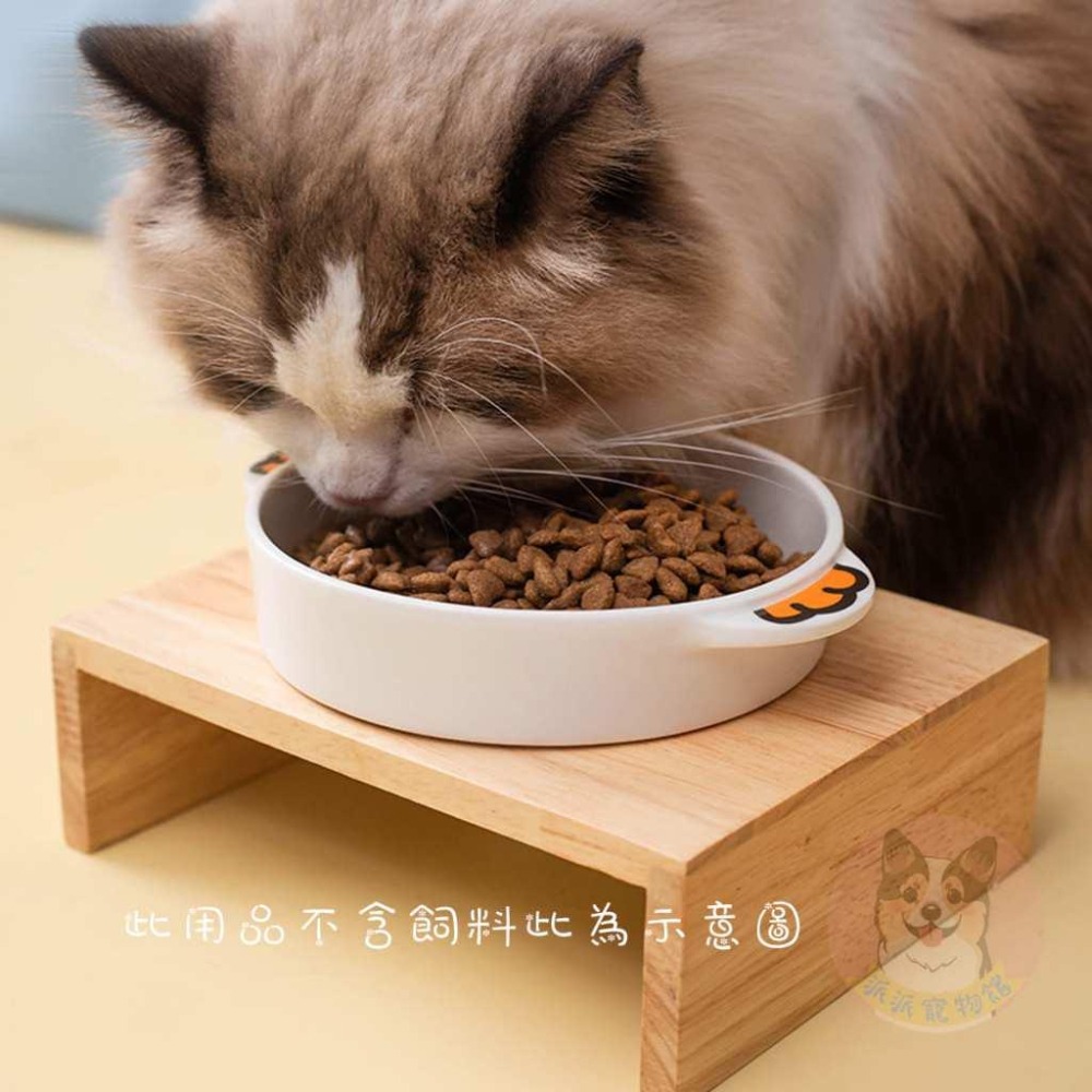 🐸雙耳動物碗🐸 貓碗 寵物碗 貓咪碗 寵物碗架 寵物陶瓷碗 貓碗架 貓咪飼料碗 貓咪碗架 貓用品 護頸碗 寵物碗架 貓-細節圖7