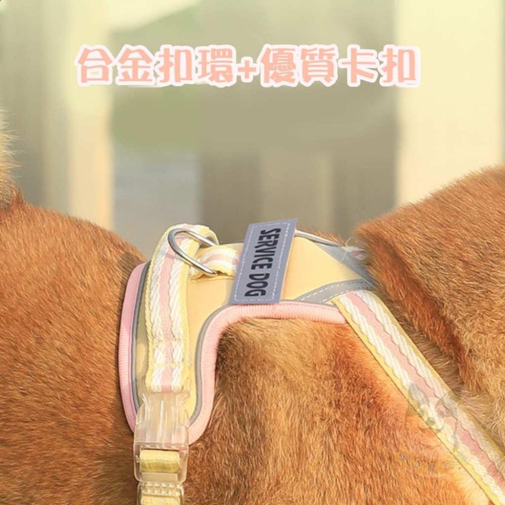 💗繽紛炫彩胸背帶💗 防暴衝胸背帶 狗胸背帶 胸背帶 寵物胸背帶 寵物背帶 大型犬胸背帶 中型犬胸背帶 寵物胸背柯基柴犬-細節圖7