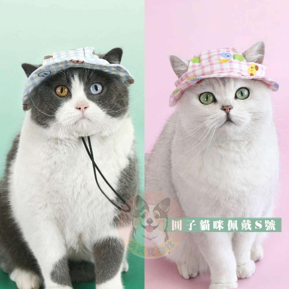 格子遮陽帽🌞 寵物帽子 狗狗帽子 狗帽子 貓咪帽子 遮陽帽 寵物帽 寵物配件 漁夫帽 小型犬 小狗帽 貓帽 寵物配件-細節圖4