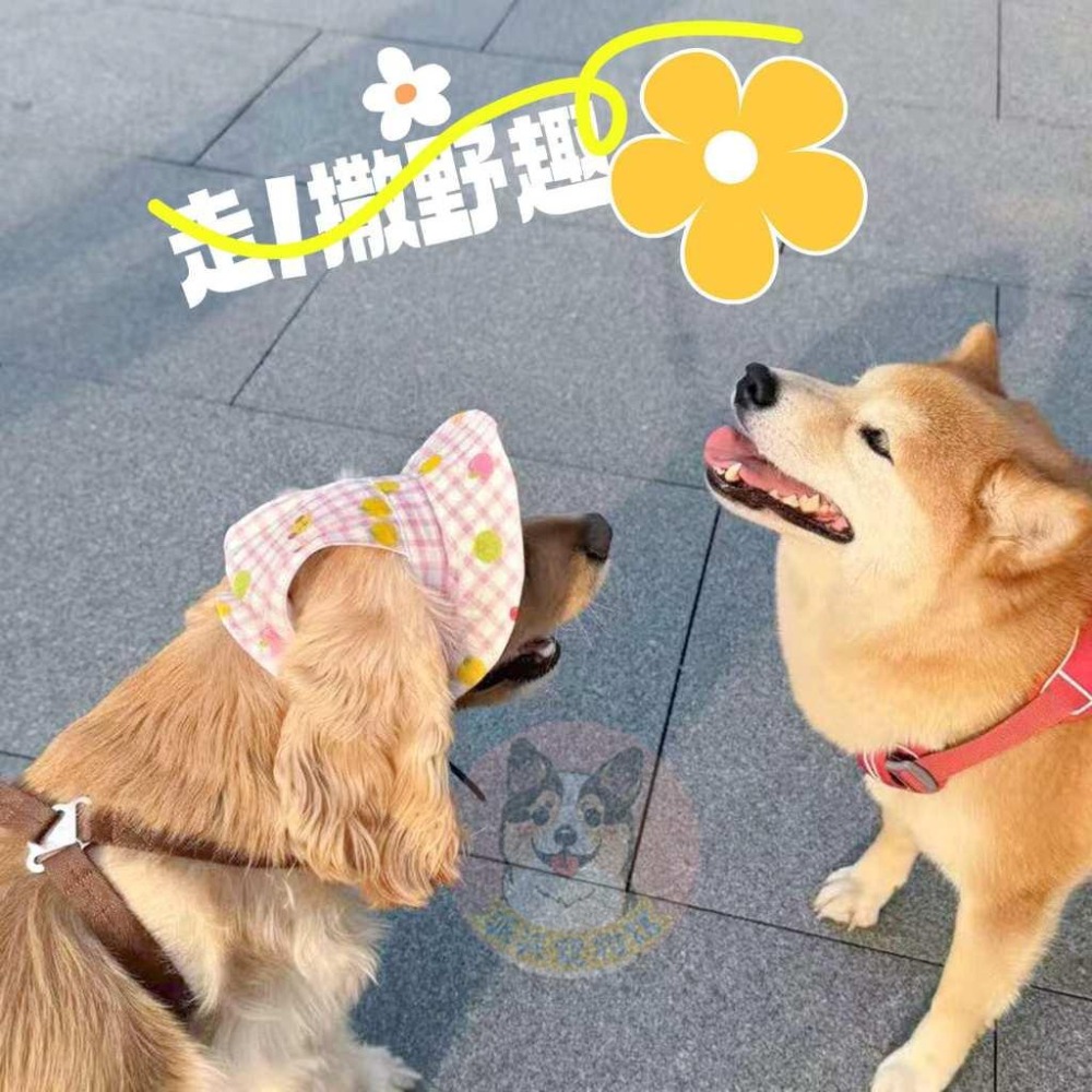 格子遮陽帽🌞 寵物帽子 狗狗帽子 狗帽子 貓咪帽子 遮陽帽 寵物帽 寵物配件 漁夫帽 小型犬 小狗帽 貓帽 寵物配件-細節圖5