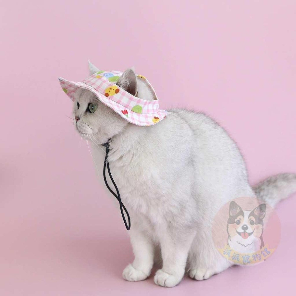 格子遮陽帽🌞 寵物帽子 狗狗帽子 狗帽子 貓咪帽子 遮陽帽 寵物帽 寵物配件 漁夫帽 小型犬 小狗帽 貓帽 寵物配件-細節圖6