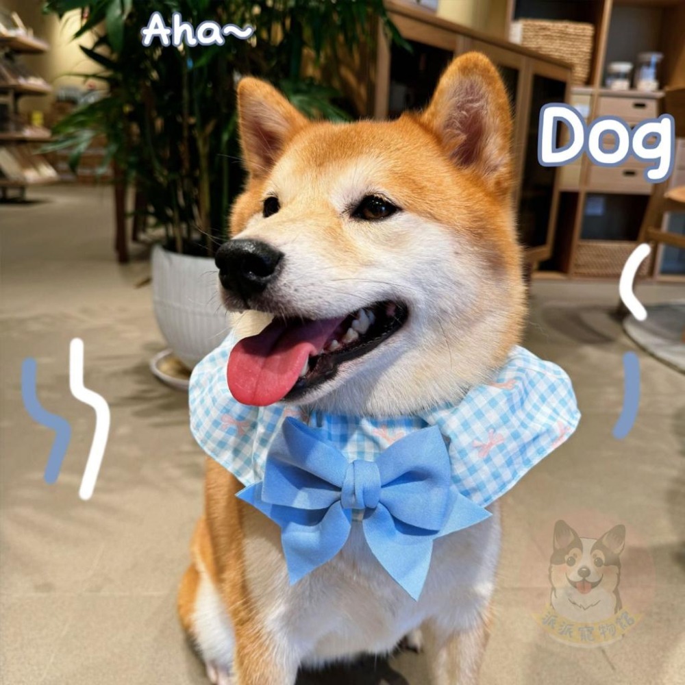 🎀蝴蝶結格子圍脖🎀 狗狗領巾 寵物領巾 狗領巾 狗狗圍脖 貓咪圍脖 寵物圍脖 貓咪領巾 口水巾 頭巾 圍兜兜 圍巾 格子-細節圖3