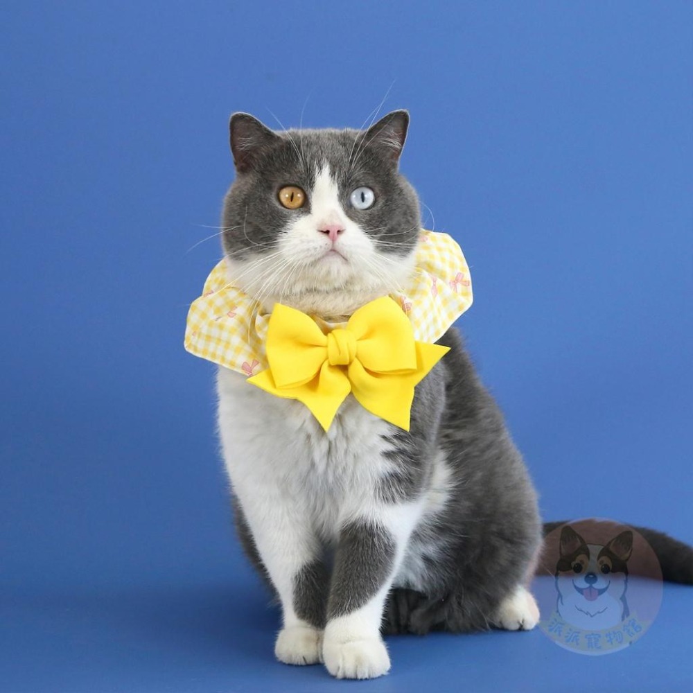 🎀蝴蝶結格子圍脖🎀 狗狗領巾 寵物領巾 狗領巾 狗狗圍脖 貓咪圍脖 寵物圍脖 貓咪領巾 口水巾 頭巾 圍兜兜 圍巾 格子-細節圖4