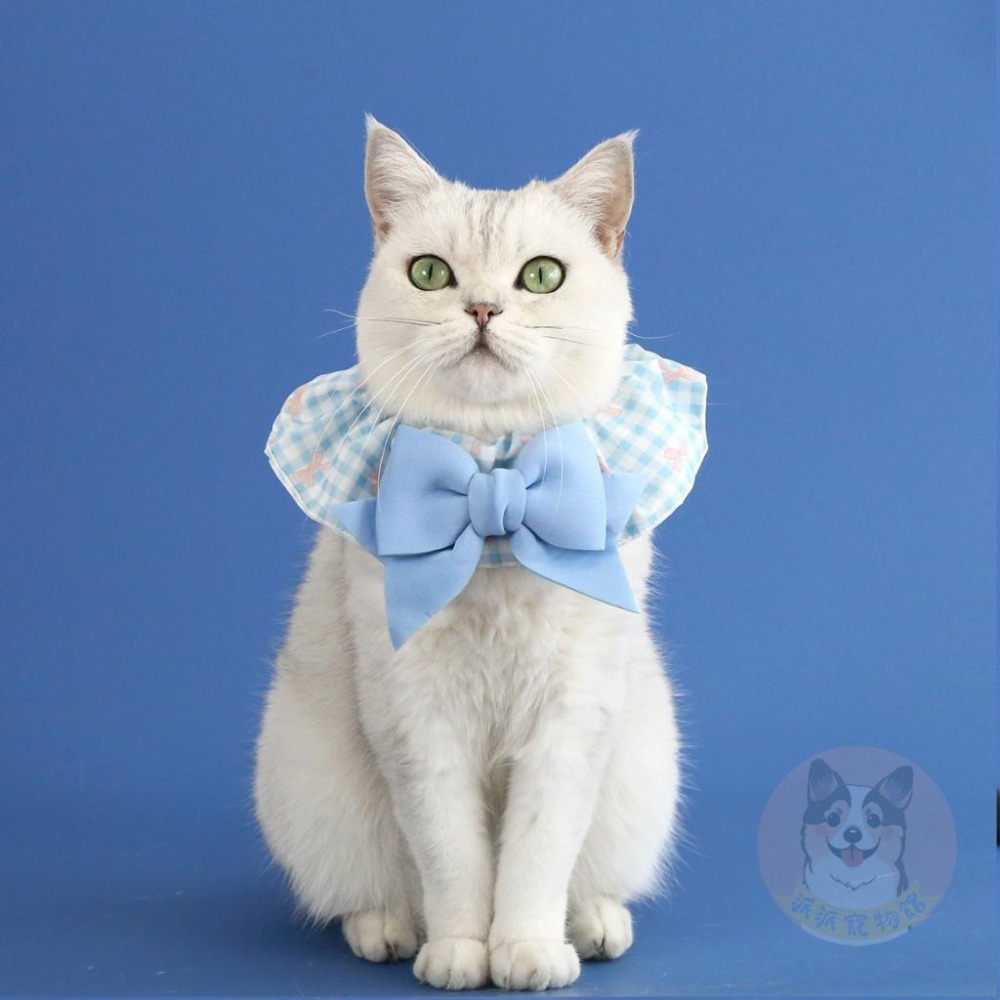 🎀蝴蝶結格子圍脖🎀 狗狗領巾 寵物領巾 狗領巾 狗狗圍脖 貓咪圍脖 寵物圍脖 貓咪領巾 口水巾 頭巾 圍兜兜 圍巾 格子-細節圖5