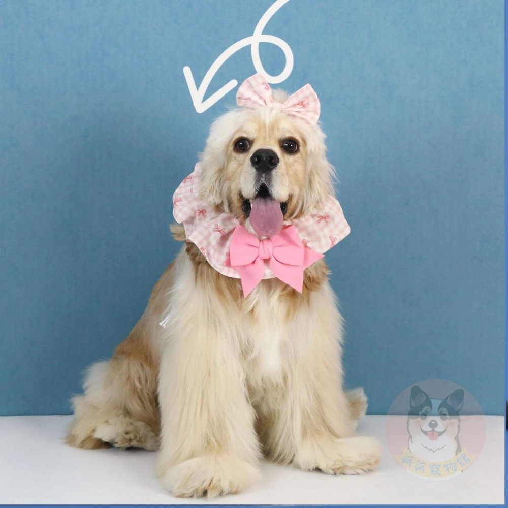 🎀蝴蝶結格子圍脖🎀 狗狗領巾 寵物領巾 狗領巾 狗狗圍脖 貓咪圍脖 寵物圍脖 貓咪領巾 口水巾 頭巾 圍兜兜 圍巾 格子-細節圖6