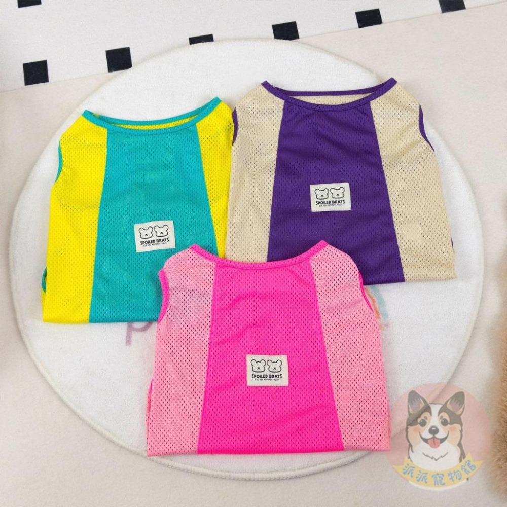 🩵雙色透氣背心💛 狗衣服 狗狗背心 狗狗衣服 寵物衣服 夏天 狗背心 黃金獵犬 拉布拉多 大狗 柯基 柴犬中大型犬衣服-細節圖2