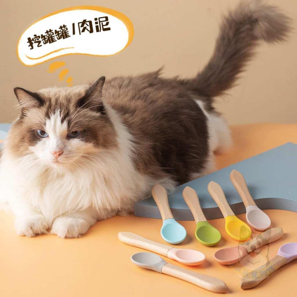 🍬寵物餵食勺🍬 罐頭勺 罐頭湯匙 貓用品 刮勺 罐頭匙 狗用品 狗狗用品 勺 貓咪 貓咪用品 寵物用品 勺子湯匙飼料勺-細節圖4