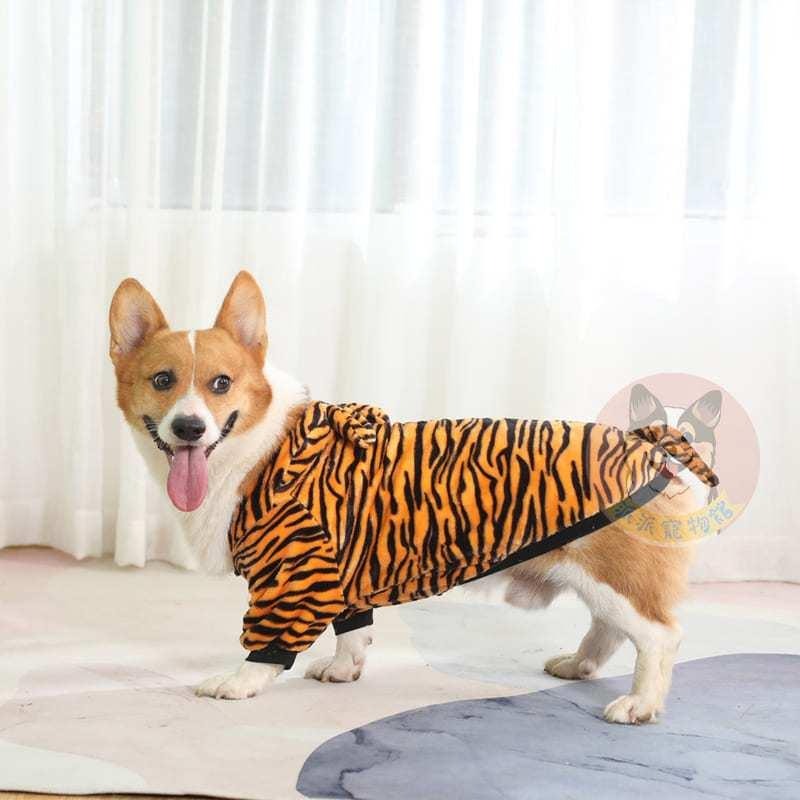 小老虎衣服🐯 狗狗衣服 狗衣服 寵物衣服 大狗衣服 寵物服飾 小狗衣服 黃金獵犬薩摩耶幼犬幼貓柯基貴賓狗臘腸狗柴犬衣服-細節圖8
