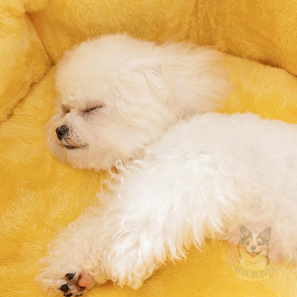 🍵茶杯小窩🍵 貓窩 狗窩 寵物窩 貓咪窩 貓睡窩 貓床 貓咪床 狗狗床 狗床 狗狗窩 寵物墊茶杯毛絨保暖冬天法蘭絨睡窩-細節圖3