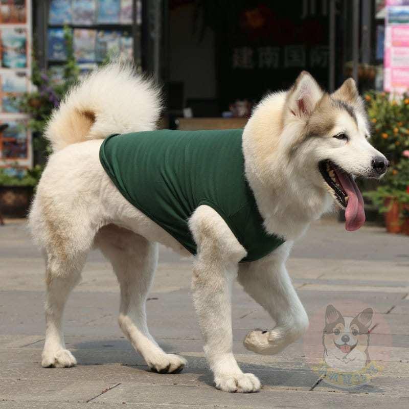 素色棉背心💕 狗狗衣服 寵物衣服 狗衣服 寵物服飾 柯基柴犬小中大型犬衣服小狗大狗貴賓哈士奇比熊雪納瑞臘腸狗黃金薩摩耶-細節圖2