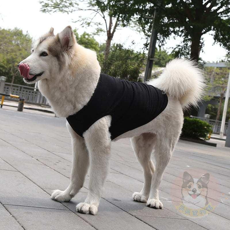 素色棉背心💕 狗狗衣服 寵物衣服 狗衣服 寵物服飾 柯基柴犬小中大型犬衣服小狗大狗貴賓哈士奇比熊雪納瑞臘腸狗黃金薩摩耶-細節圖3